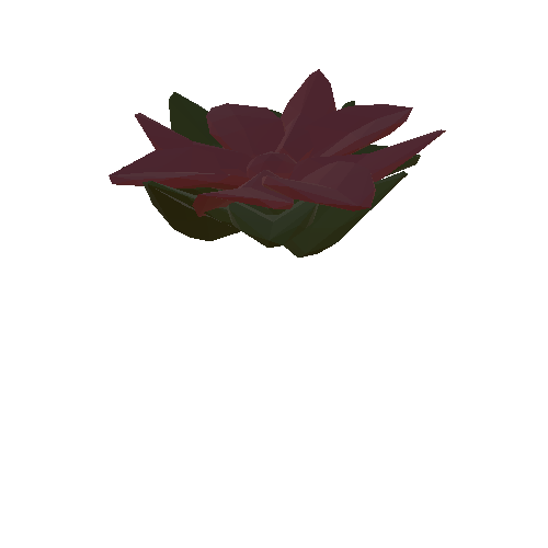 Lotus Flower 1